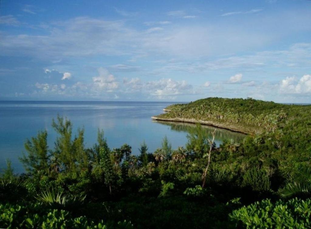 Beside The Pointe Cottage Savannah Sound Eksteriør billede